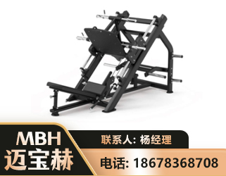 许昌45°倒蹬训练器