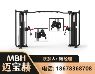 许昌大飞鸟训练器